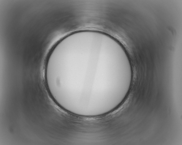 X0000111861462200907231120