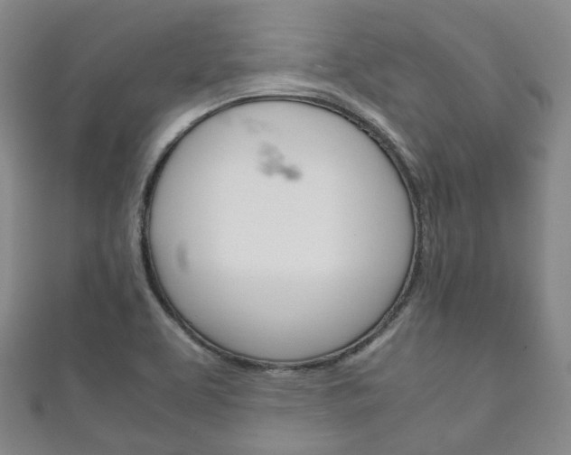 X0000111861463200907231120