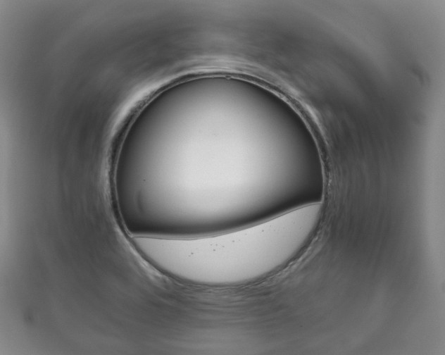 X0000111861464200907231120