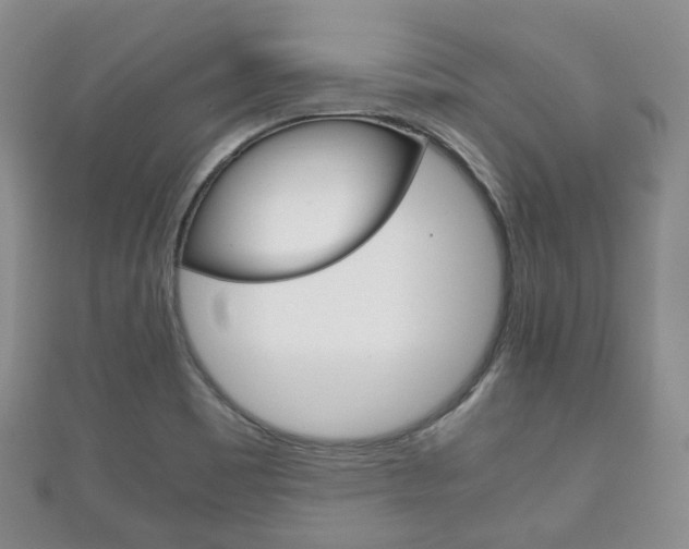 X0000111861465200907231120