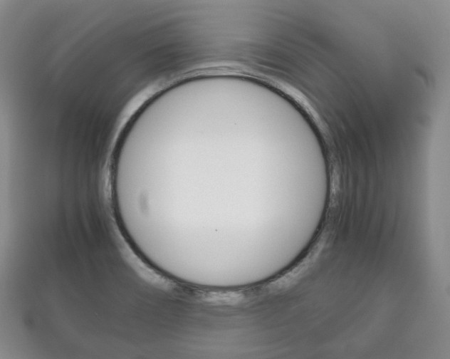 X0000111861466200907231120