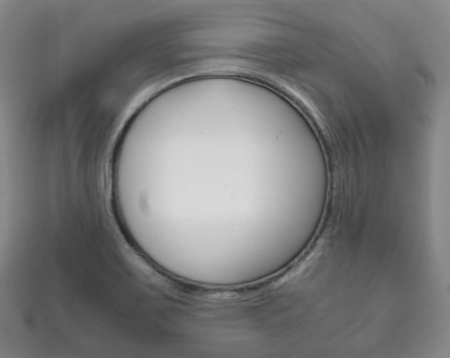 X0000111861467200907231120