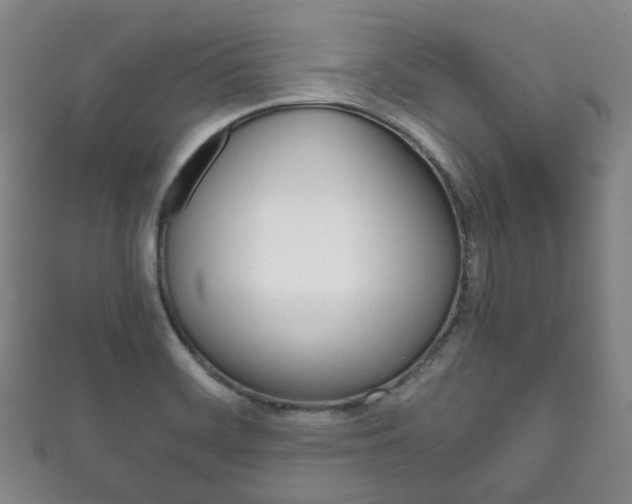 X0000111861468200907231120