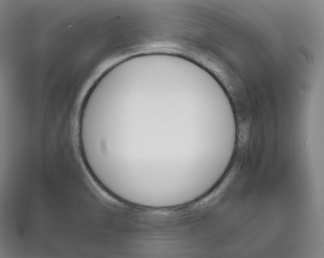 X0000111861470200907231120