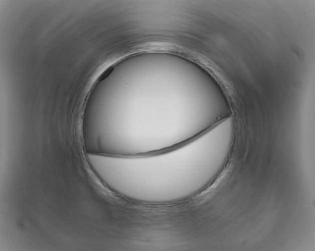 X0000111861473200907231120