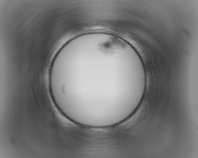 X0000111861474200907231120