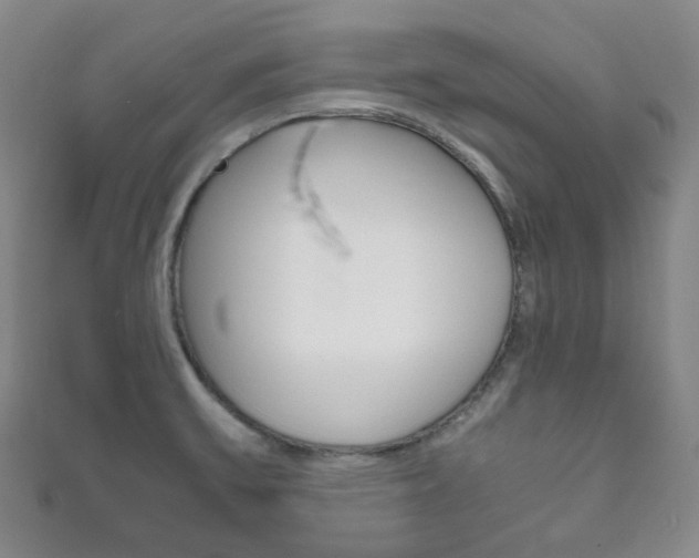 X0000111861475200907231120