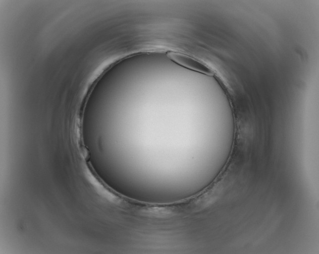 X0000111861476200907231120