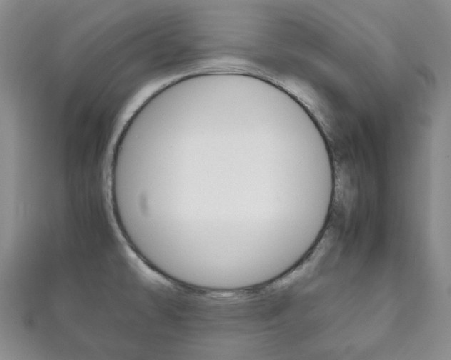 X0000111861478200907231120