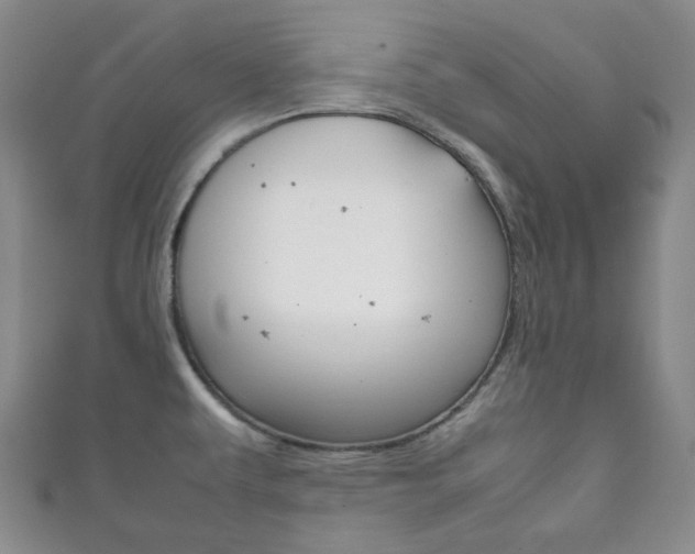X0000111861479200907231120