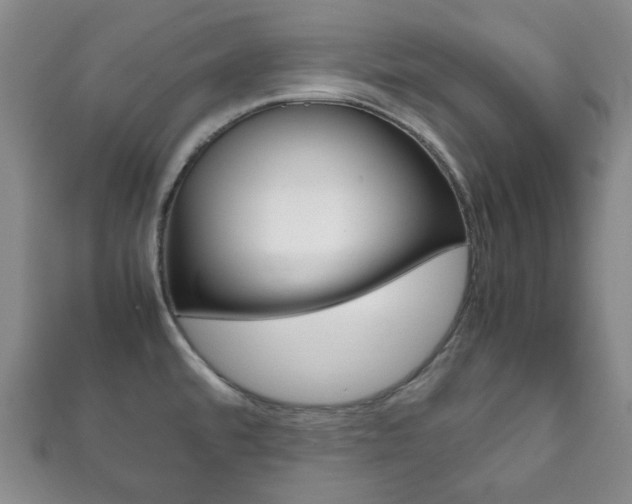 X0000111861480200907231120