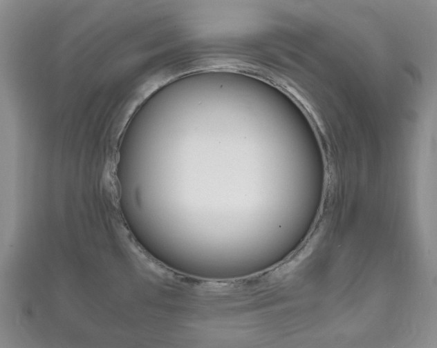 X0000111861481200907231120
