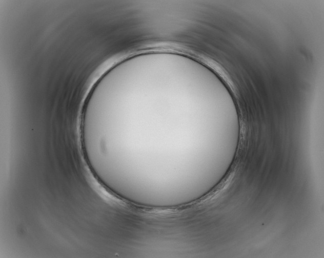 X0000111861482200907231120