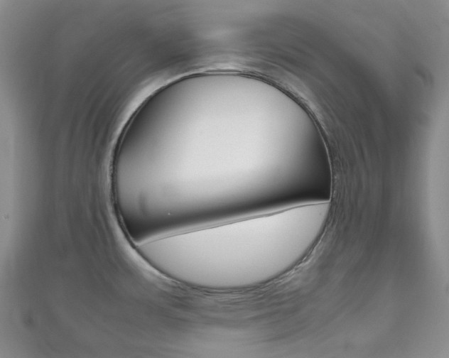 X0000111861483200907231120