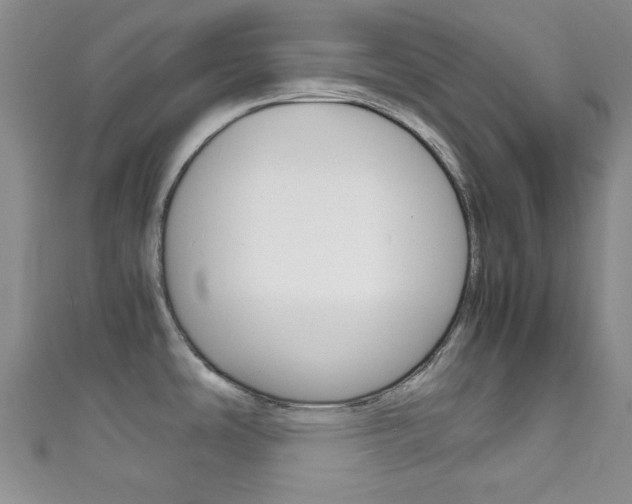 X0000111861486200907231120