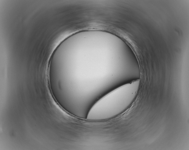 X0000111861487200907231120