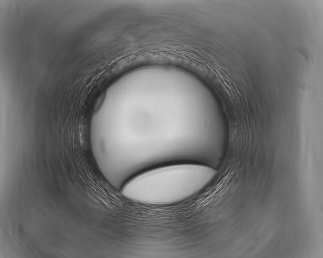 X0000111861490200907231120