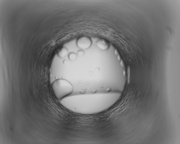 X0000111861491200907231120