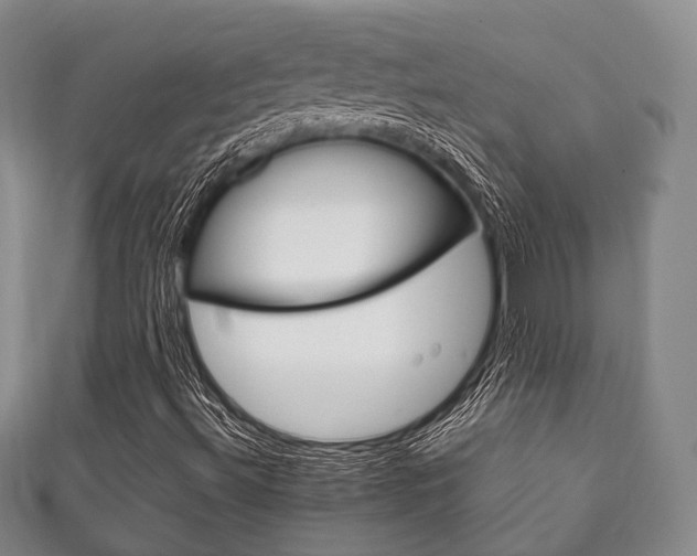 X0000111861492200907231120