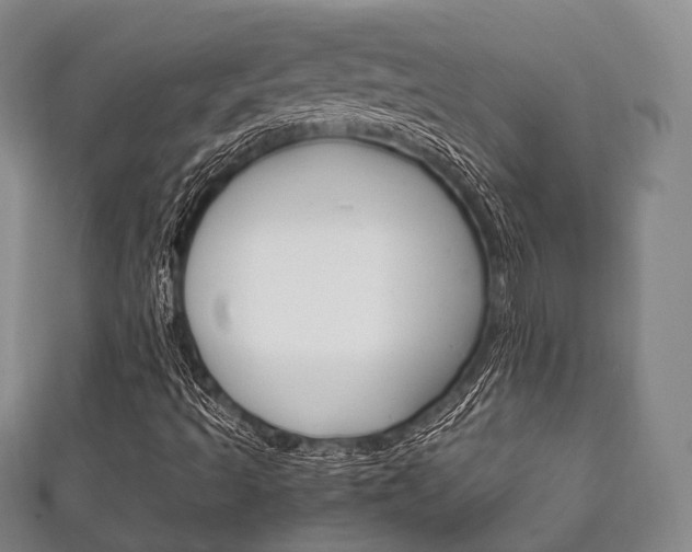 X0000111861493200907231120