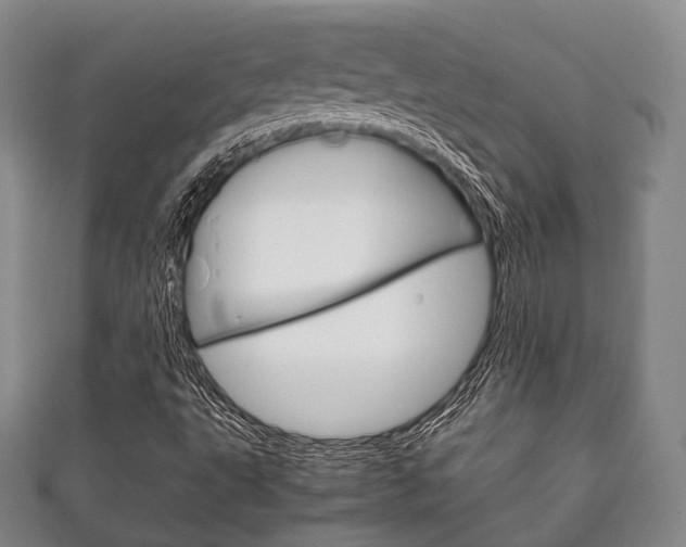 X0000111861495200907231120