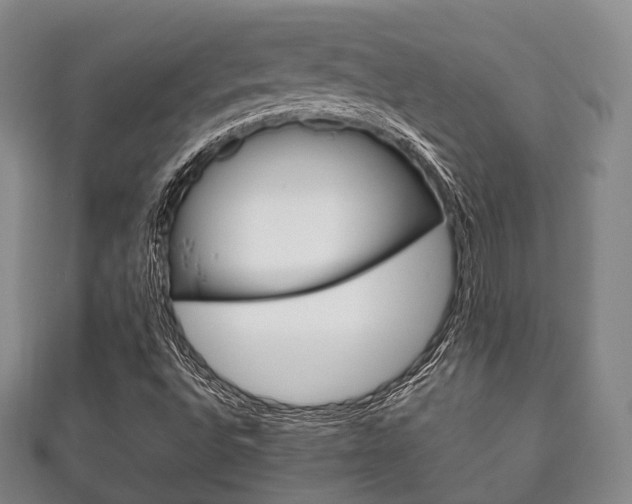 X0000111861496200907231120