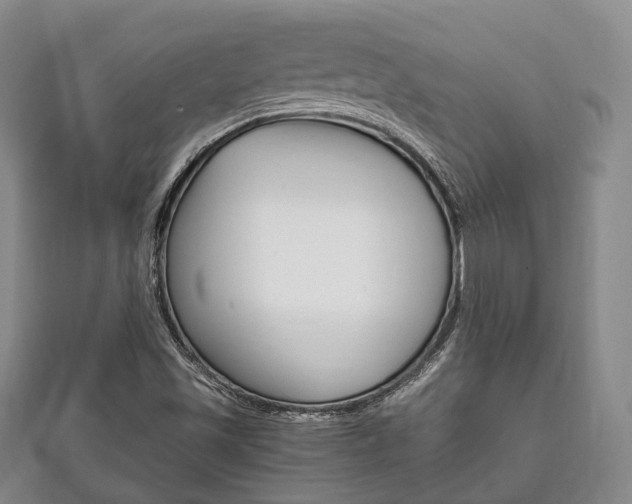 X0000111861501200907231120