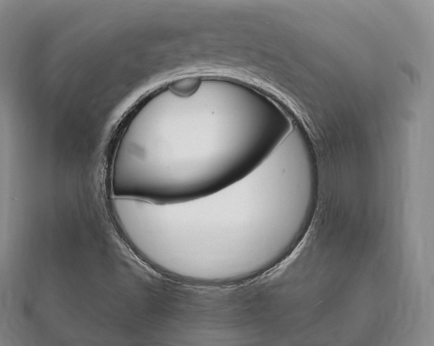 X0000111861502200907231120