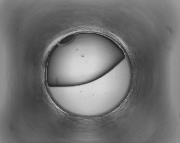 X0000111861504200907231120