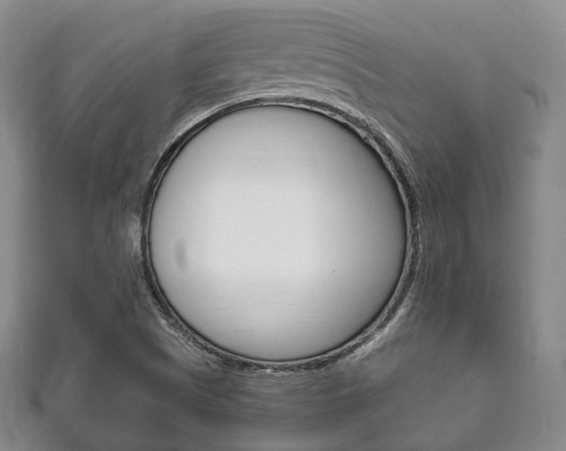 X0000111861505200907231120