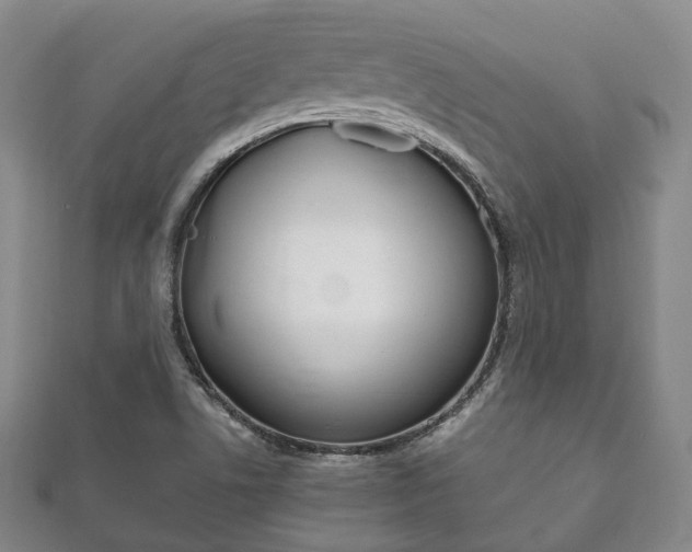 X0000111861506200907231120
