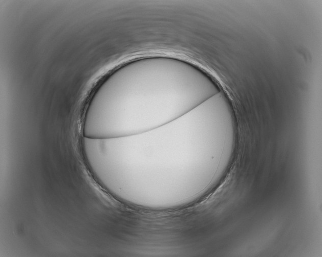 X0000111861507200907231120