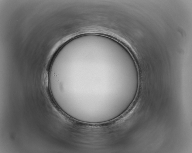 X0000111861509200907231120