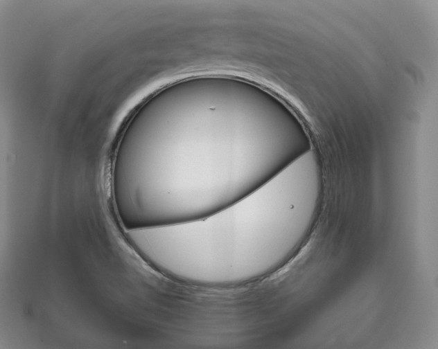 X0000111861510200907231120