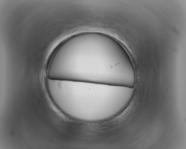 X0000111861511200907231120