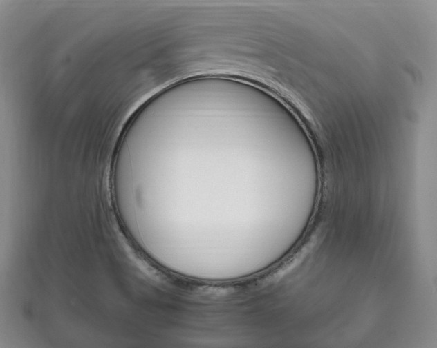 X0000111861513200907231120