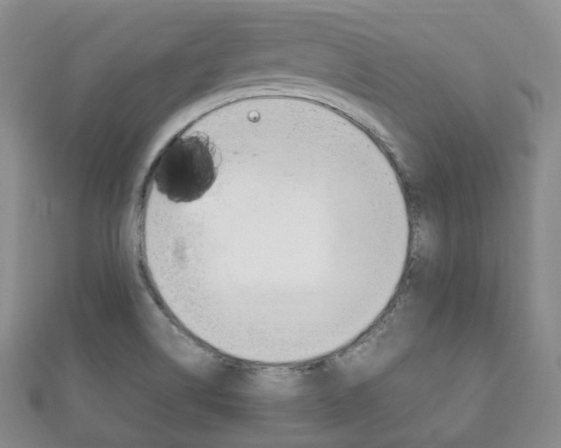 X0000111861514200907231120