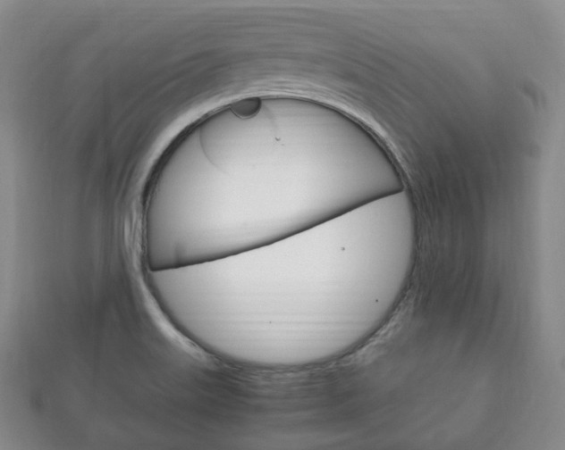 X0000111861515200907231120