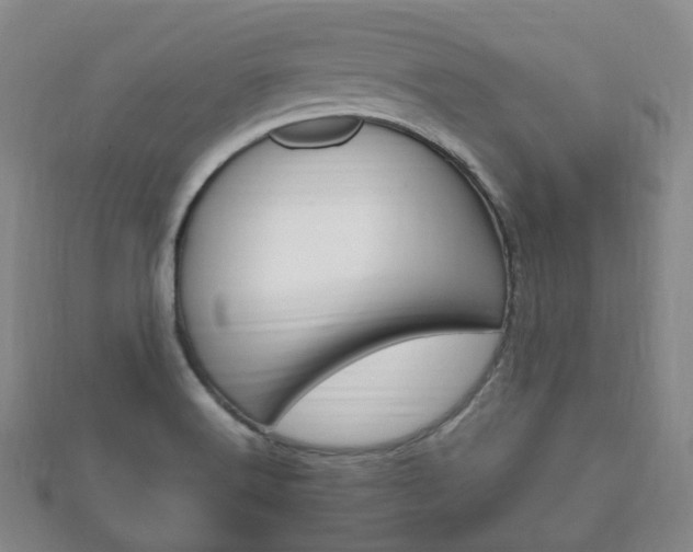X0000111861516200907231120