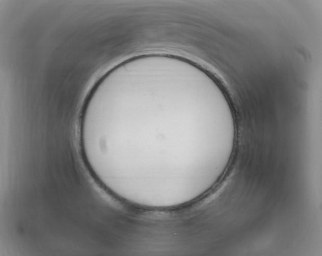 X0000111861517200907231120