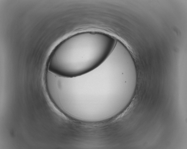X0000111861518200907231120