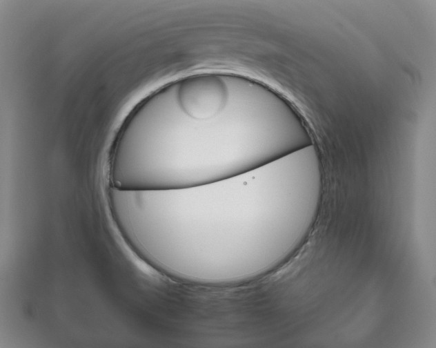 X0000111861519200907231120