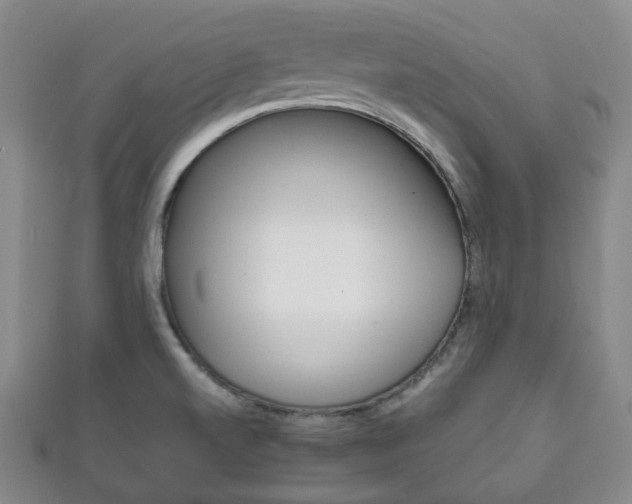X0000111861520200907231120