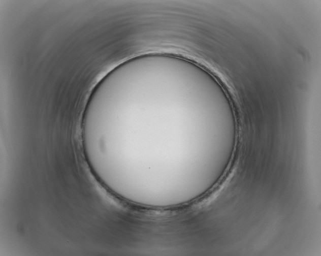 X0000111861521200907231120