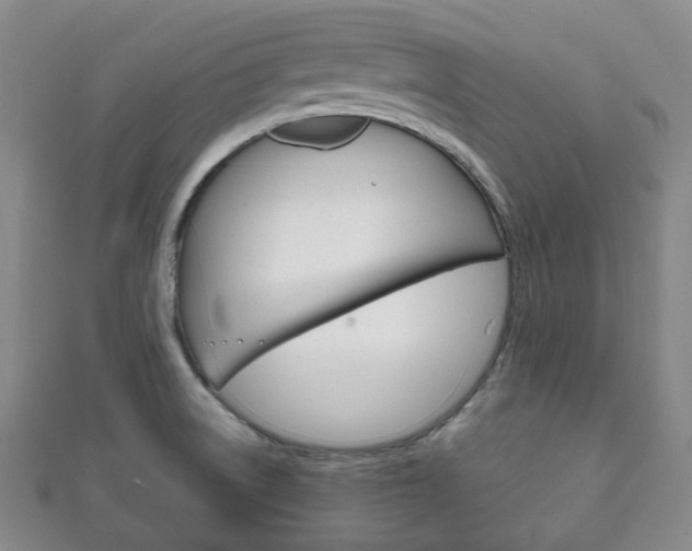 X0000111861522200907231120