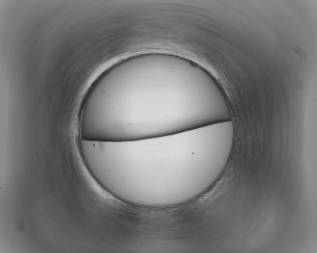 X0000111861523200907231120