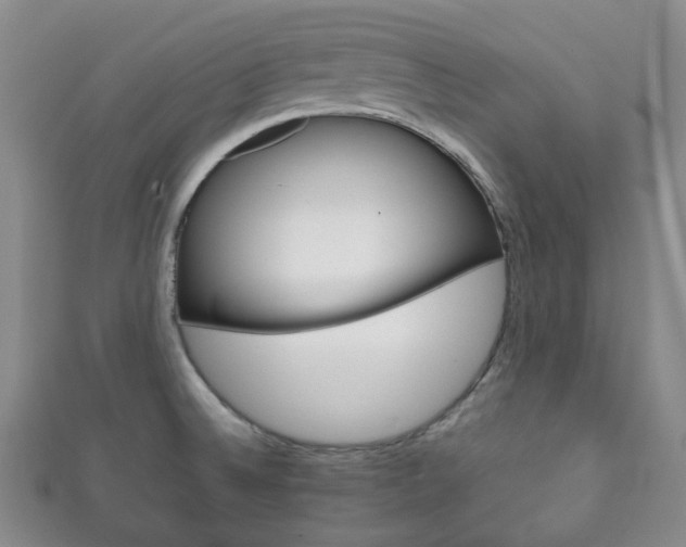 X0000111861524200907231120