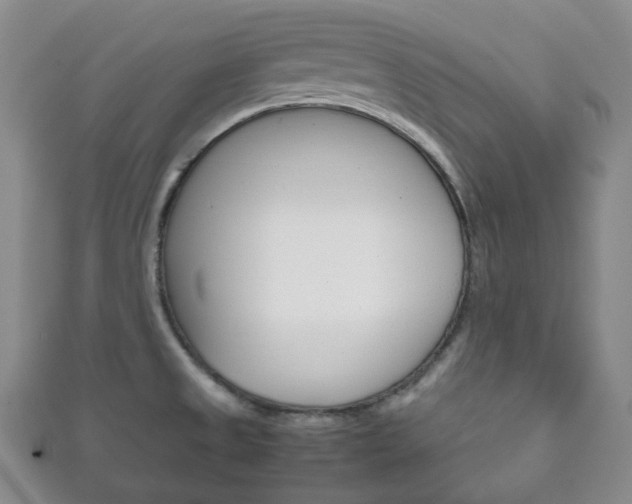 X0000111861525200907231120