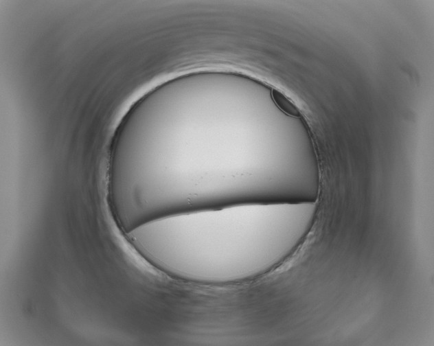 X0000111861526200907231120