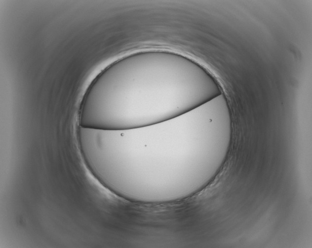 X0000111861527200907231120